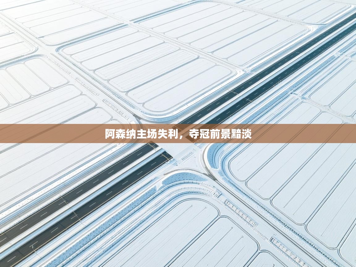 阿森纳主场失利,夺冠前景黯淡 第1张