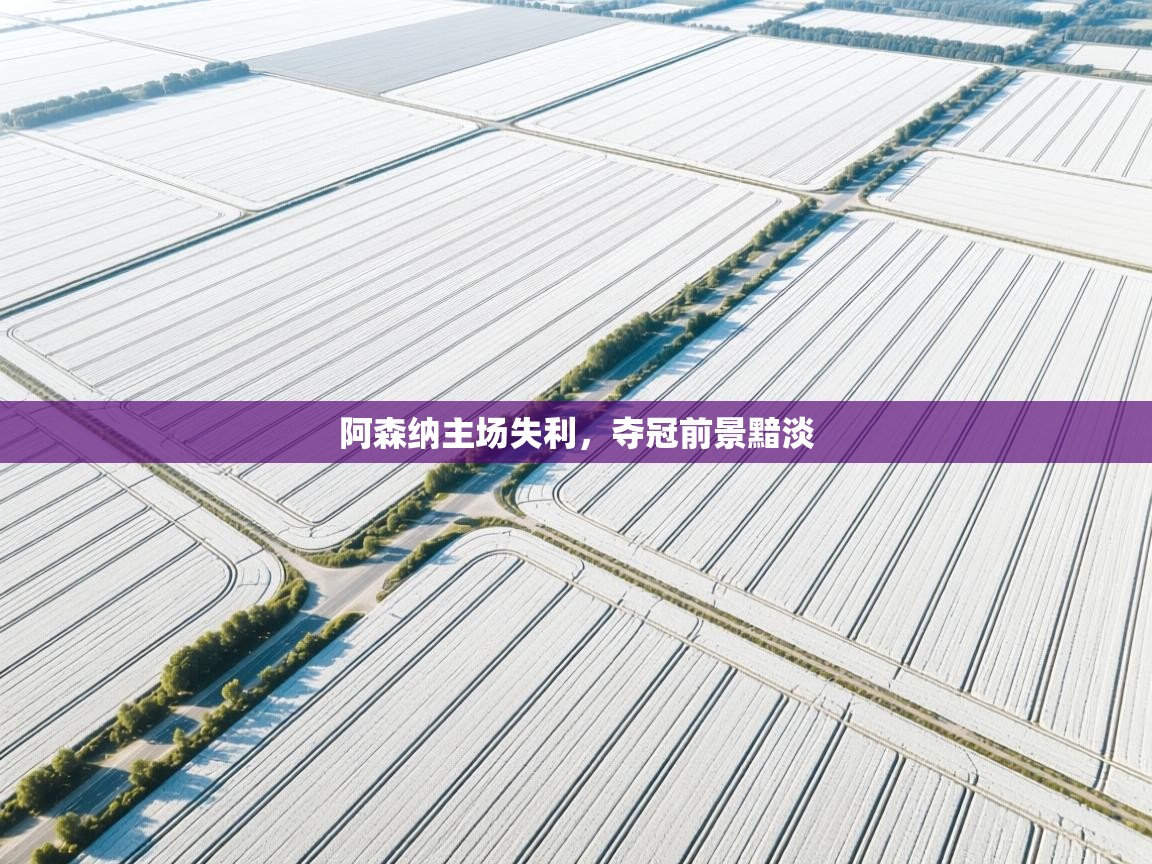 阿森纳主场失利,夺冠前景黯淡 第2张