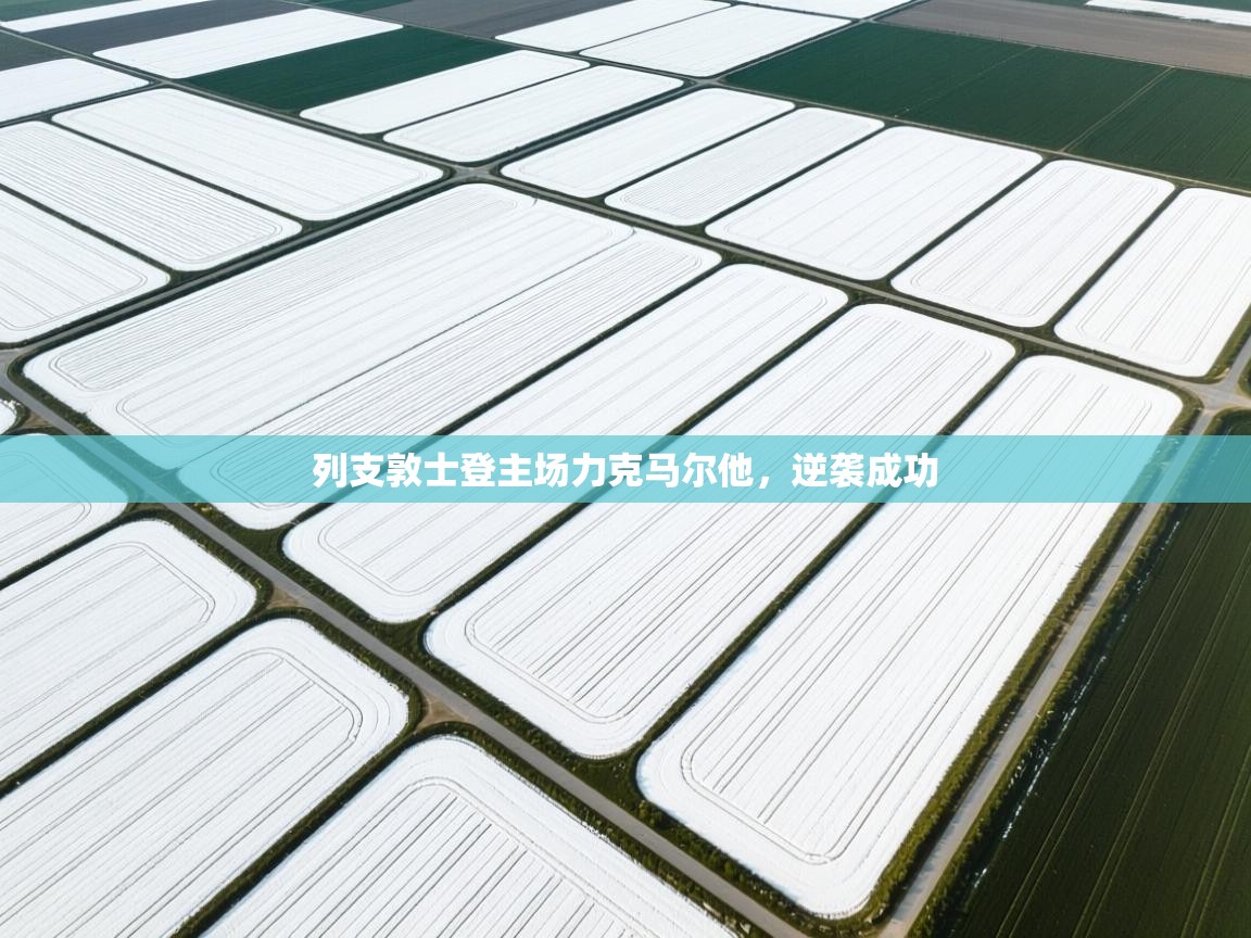 列支敦士登主场力克马尔他，逆袭成功  第2张